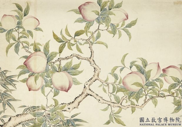 清關槐花卉圖 軸